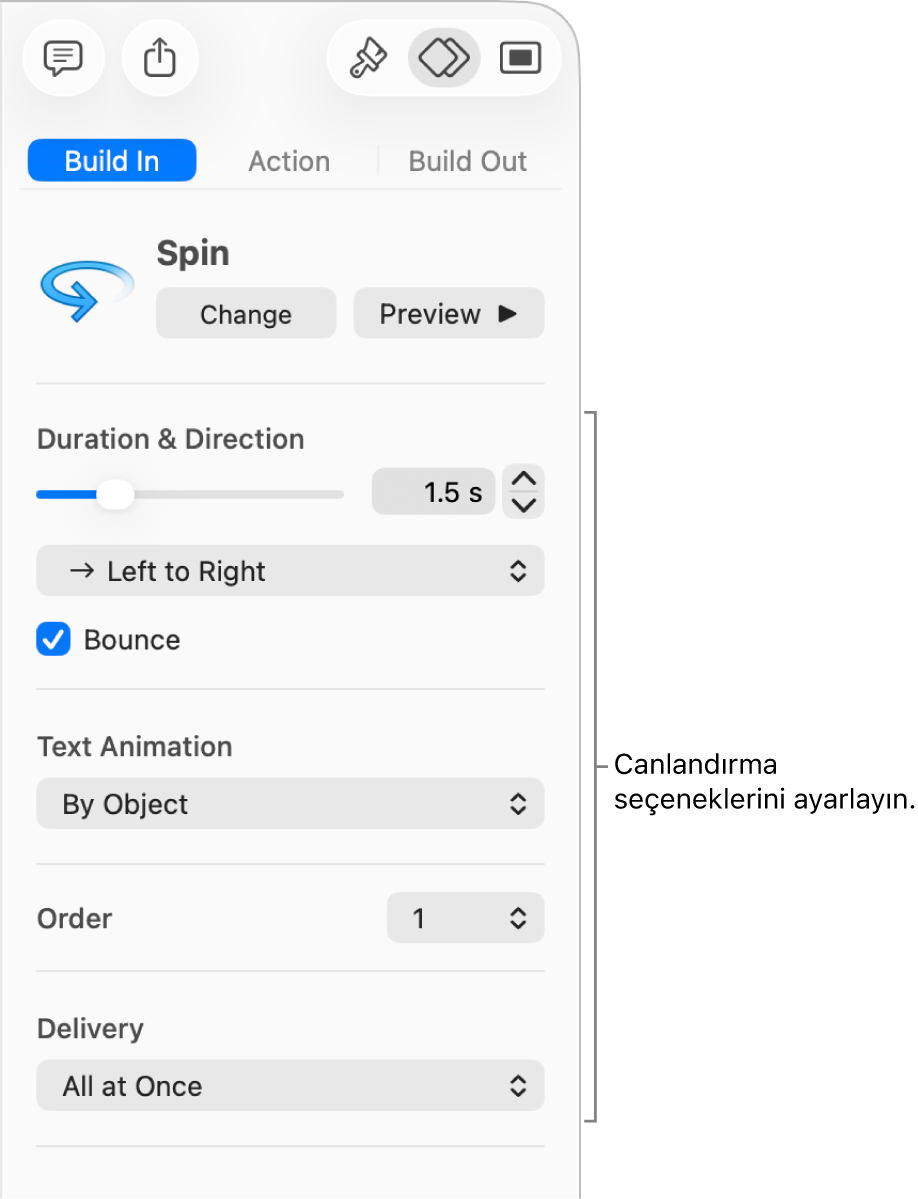 Kenar çubuğunun Canlandır bölümündeki Giriş seçenekleri.