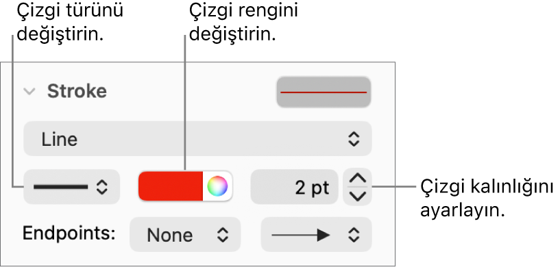 Uç noktaları, çizgi kalınlığını ve rengi ayarlamak için çizgi denetimleri.