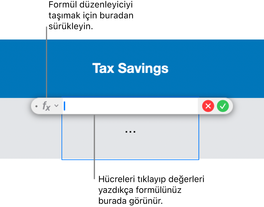 Formül Düzenleyici.