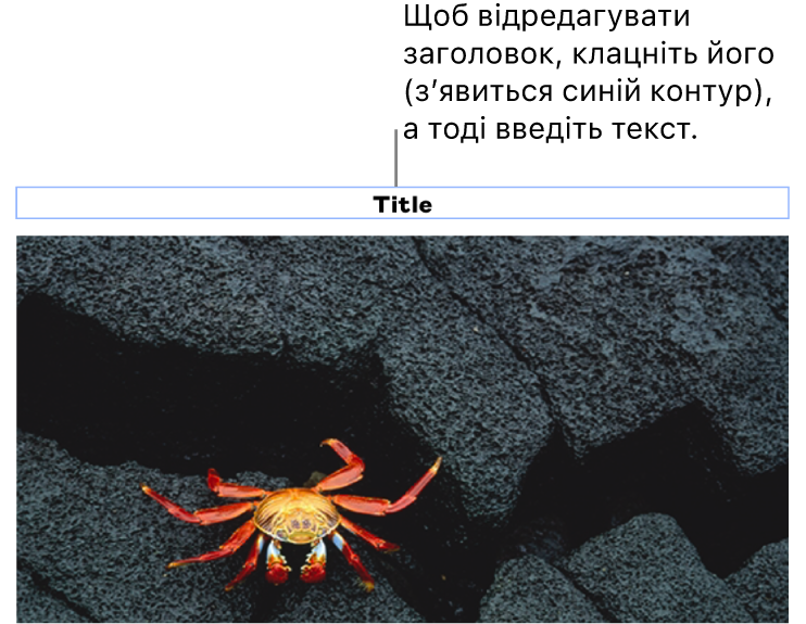 Зразок «Заголовок» відображається під фотографією, синій контур довкола поля заголовку вказує, що його вибрано.