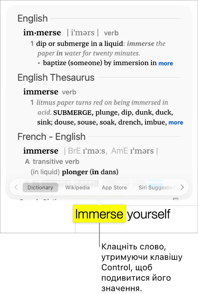 Текст із виділеним словом і вікно, в якому відображається його визначення та стаття з тезаурусу. Дві кнопки внизу вікна містять посилання на словник і на Вікіпедію.