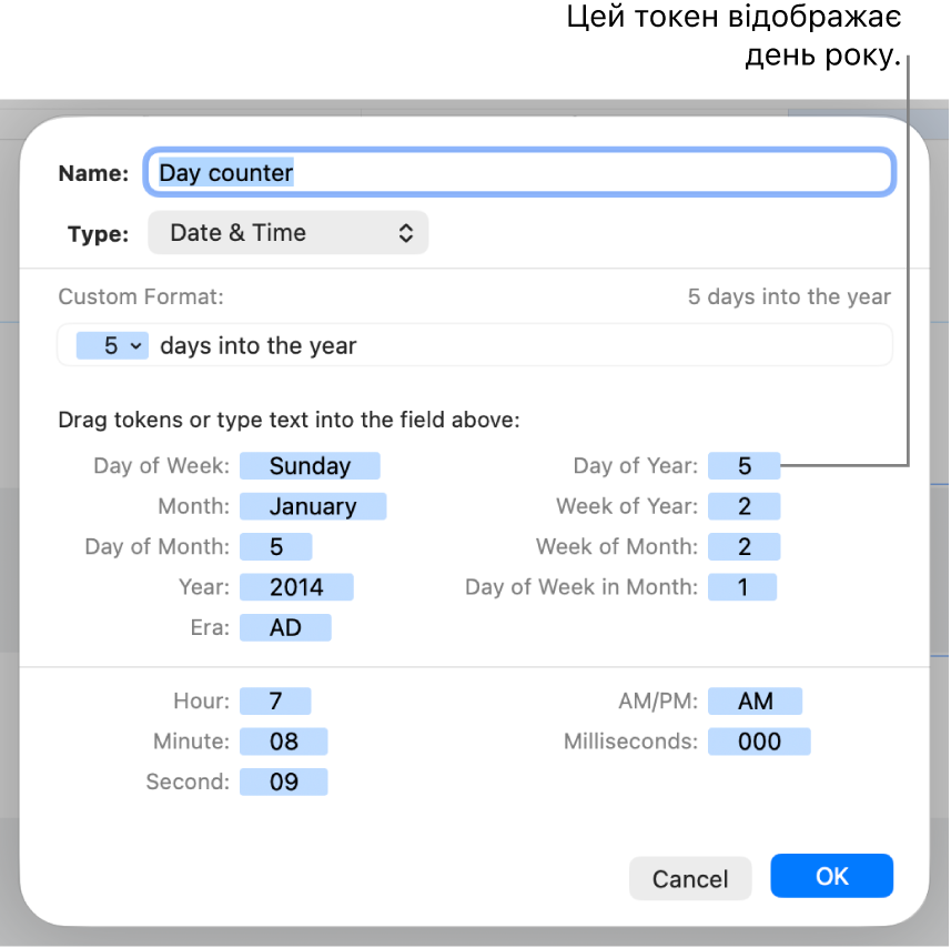 Вікно власного формату клітинок із засобами для створення спеціального формату дати й часу.