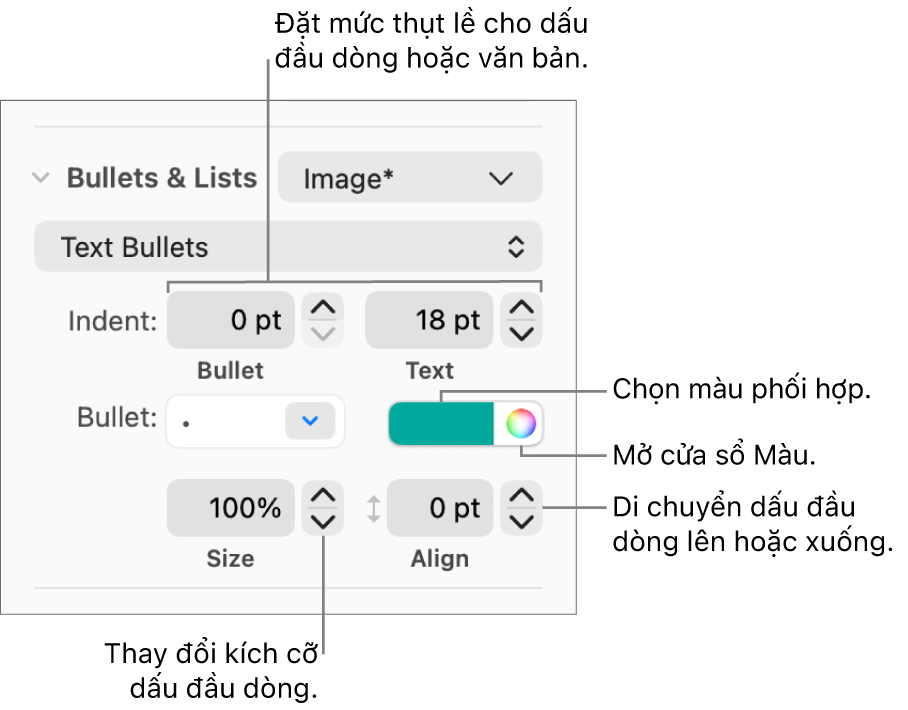 Phần Dấu đầu dòng & Danh sách với các lời nhắc đến các điều khiển cho thụt lề dấu đầu dòng và văn bản, màu dấu đầu dòng, kích cỡ dấu đầu dòng và căn chỉnh.
