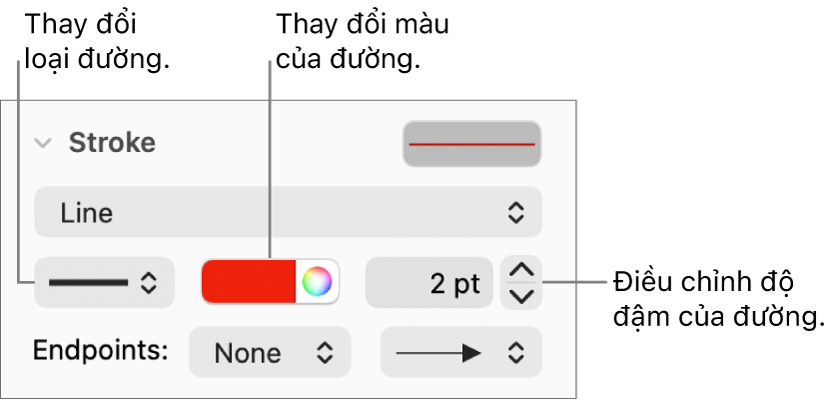 Các điều khiển nét để đặt điểm cuối, độ đậm của đường và màu.