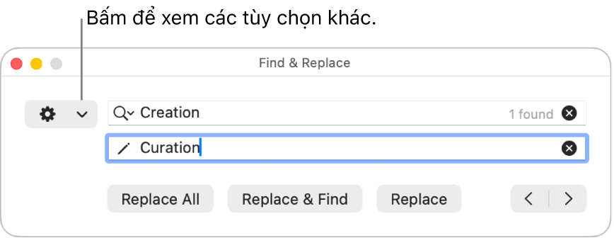 Cửa sổ Tìm & Thay thế có chú thích đến menu bật lên hiển thị thêm tùy chọn.