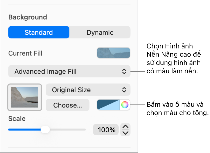 Các điều khiển Nền với Hình ảnh nền nâng cao có màu được đặt dưới dạng nền trang chiếu.