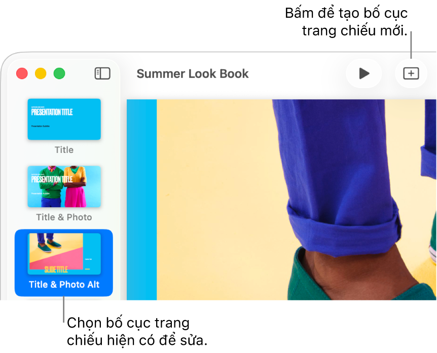 Một bố cục trang chiếu đang hiển thị trên khu vực bố cục trang chiếu, với nút Thêm trang chiếu ở phía trên trong thanh công cụ.
