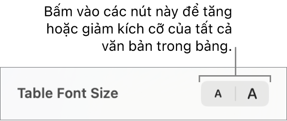 Các điều khiển thanh bên để thay đổi kích cỡ phông chữ của bảng.