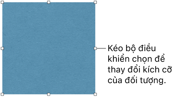 Đối tượng có hình vuông màu trắng trên đường viền để thay đổi kích cỡ của đối tượng.