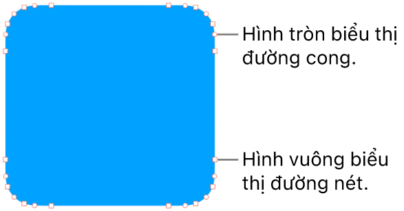 Hình có các điểm có thể sửa.