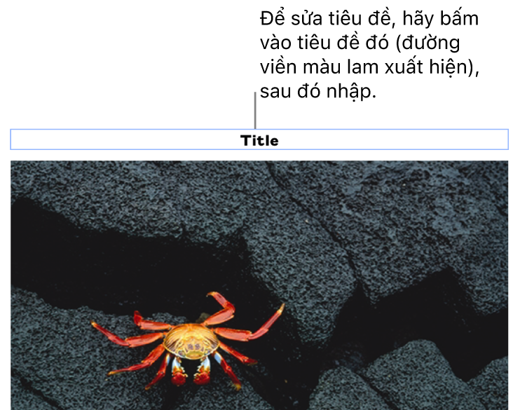 Chú thích giữ chỗ, “Tiêu đề”, xuất hiện bên dưới ảnh; đường viền màu lam xuất hiện xung quanh trường tiêu đề để cho biết tiêu đề đó đã được chọn.