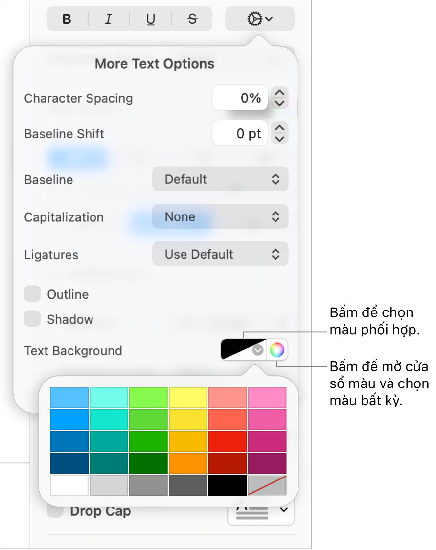 Các điều khiển để chọn màu nền cho văn bản.