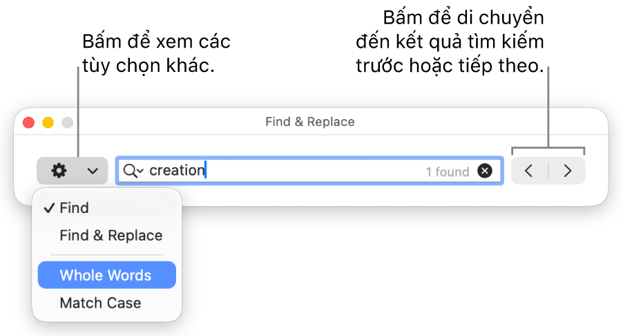 Cửa sổ Tìm & Thay thế với menu bật lên hiển thị các tùy chọn cho Tìm, Tìm & Thay thế, Cả từ và Khớp viết hoa. Các mũi tên ở bên phải cho phép bạn chuyển đến kết quả tìm kiếm trước đó hoặc tiếp theo.
