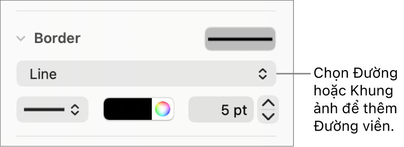 Các điều khiển Kiểu viền trong thanh bên Định dạng với Đường được chọn dưới dạng kiểu viền.