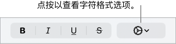 “粗体”、“斜体”和“下划线”按钮旁边的“高级选项”按钮。
