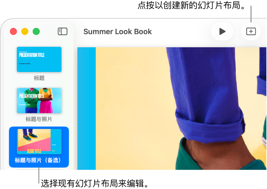 幻灯片布局区域显示一个幻灯片布局，其上方是工具栏中的“添加幻灯片”按钮。