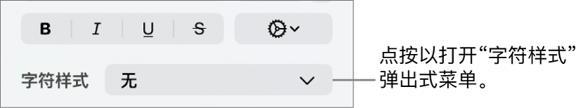 用于更改文本样式和颜色的控制下方的“字符样式”弹出式菜单。