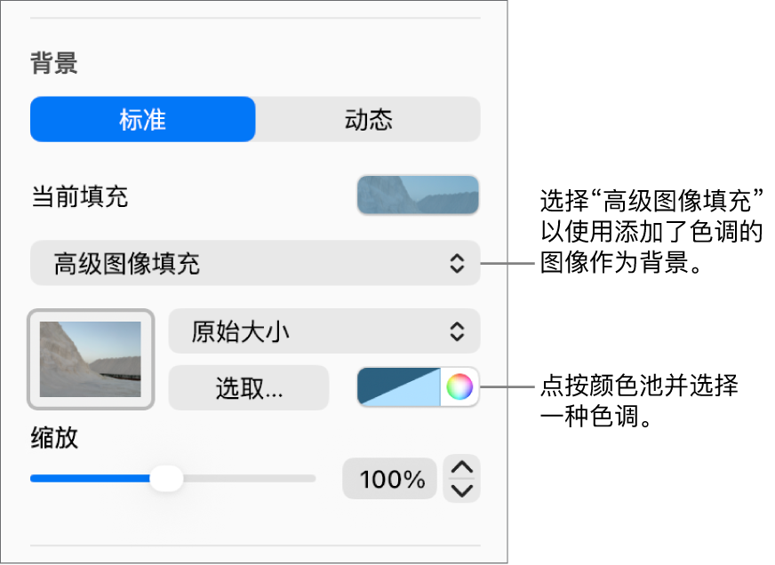 “背景”控制的“高级图像填充”,其中添加了色调的图像设为幻灯片背景。