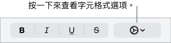 「粗體」、「斜體」和「底線」按鈕旁邊的「進階選項」按鈕。