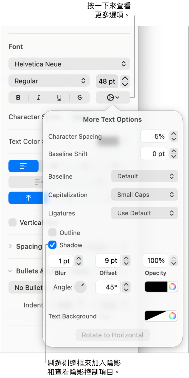 「進階選項」開啟，其中包括已剔選的「陰影」剔選框，以及設定模糊、位移、不透明度、角度和顏色的控制項目。