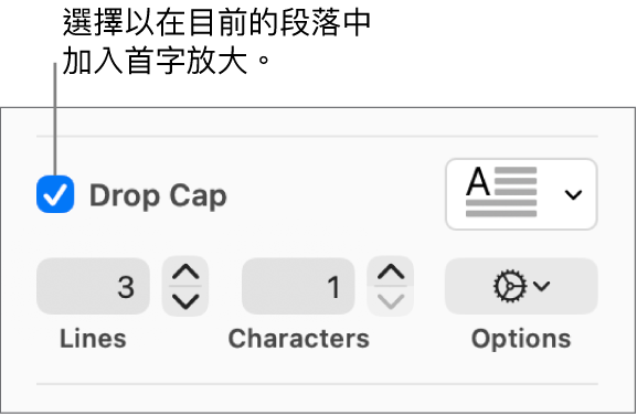已剔選「首字放大」剔選框，然後彈出式選單在其右邊出現；設定行高、字數和其他選項的控制項目則在其下方出現。