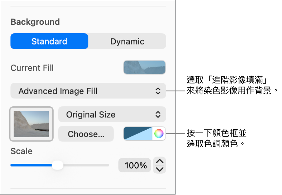 「背景」控制項目，其中染色的「進階影像填滿」已設定為投影片背景。