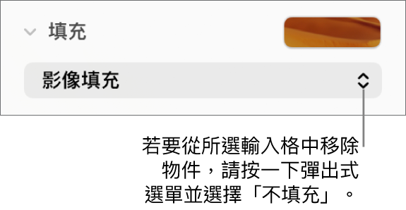 移除輸入格物件的控制項目。