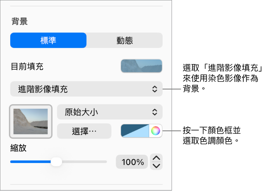 「背景」控制項目包含設為幻燈片背景的染色「進階影像填充」。
