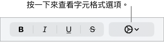「粗體」、「斜體」、「底線」和「刪除線」按鈕旁邊的「進階選項」按鈕。