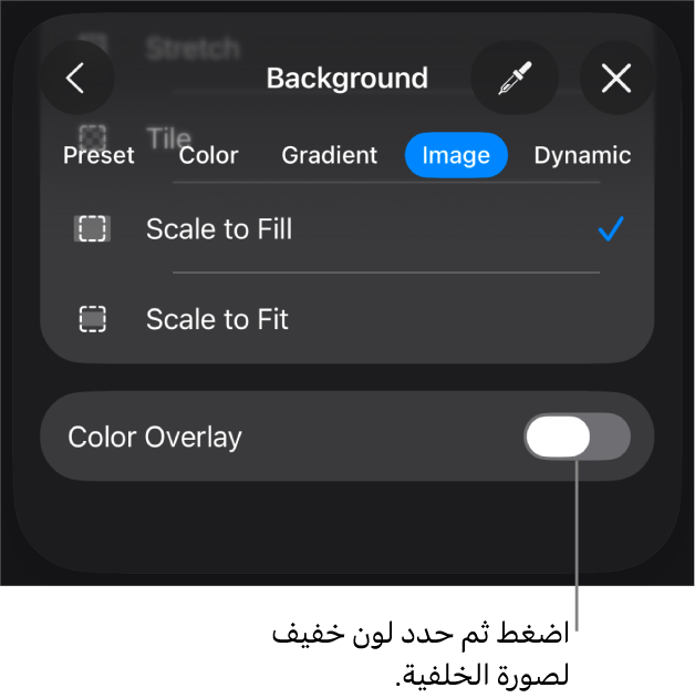 عناصر التحكم في الخلفية مع تعيين صورة كخلفية للشريحة والتحكم في تراكب الألوان في الأسفل.