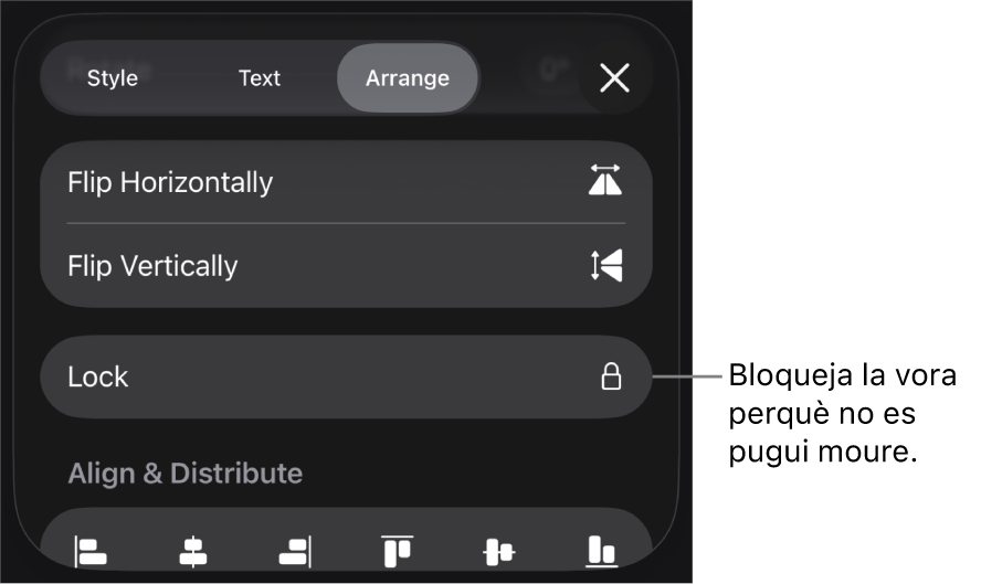 Els controls de disposició al menú “Format” amb el botó “Bloqueja” ressaltat.
