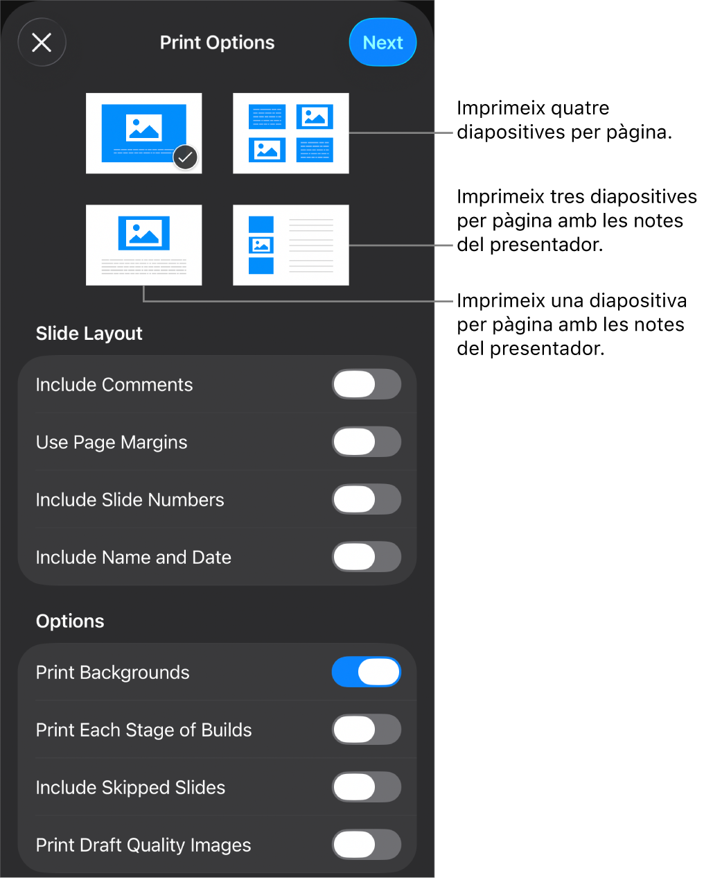 Opcions de disseny d’impressió.