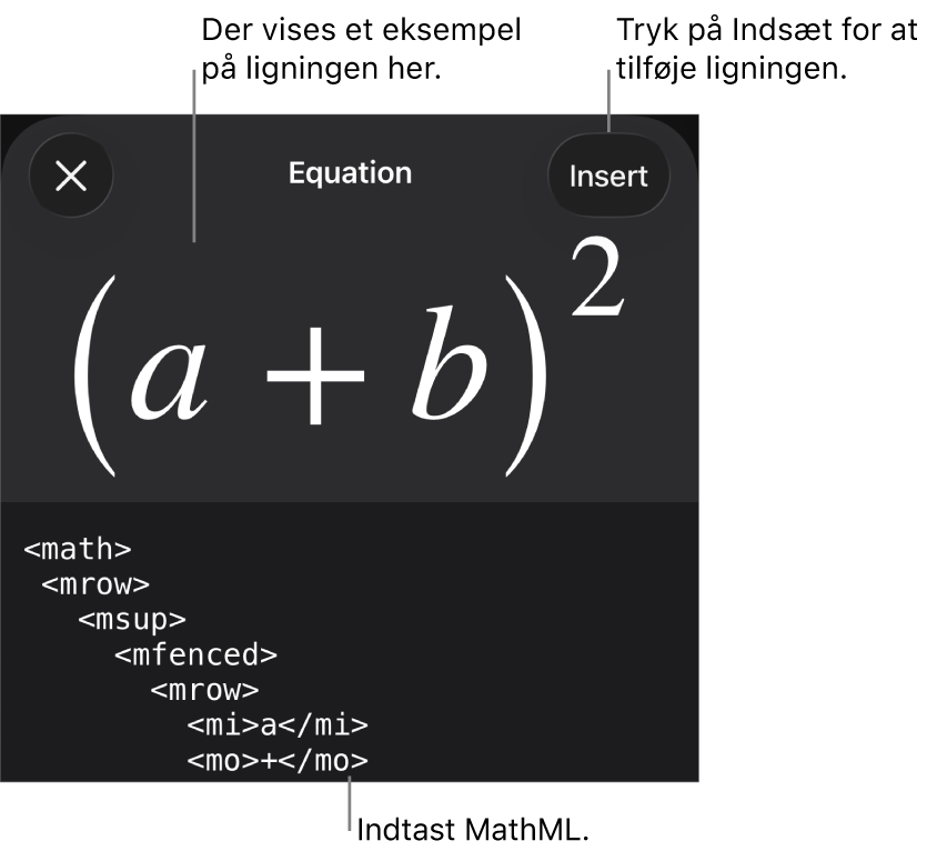 Dialogen Ligning, der viser ligningen skrevet ved hjælp af MathML-kommandoer og derover et eksempel på formlen.
