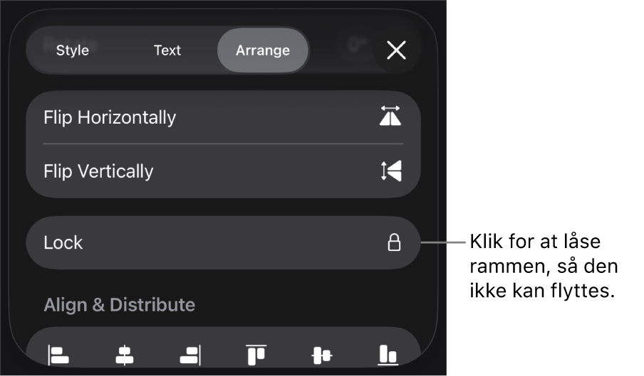 Betjeningsmulighederne under Arranger på menuen Format med knappen Lås fremhævet.