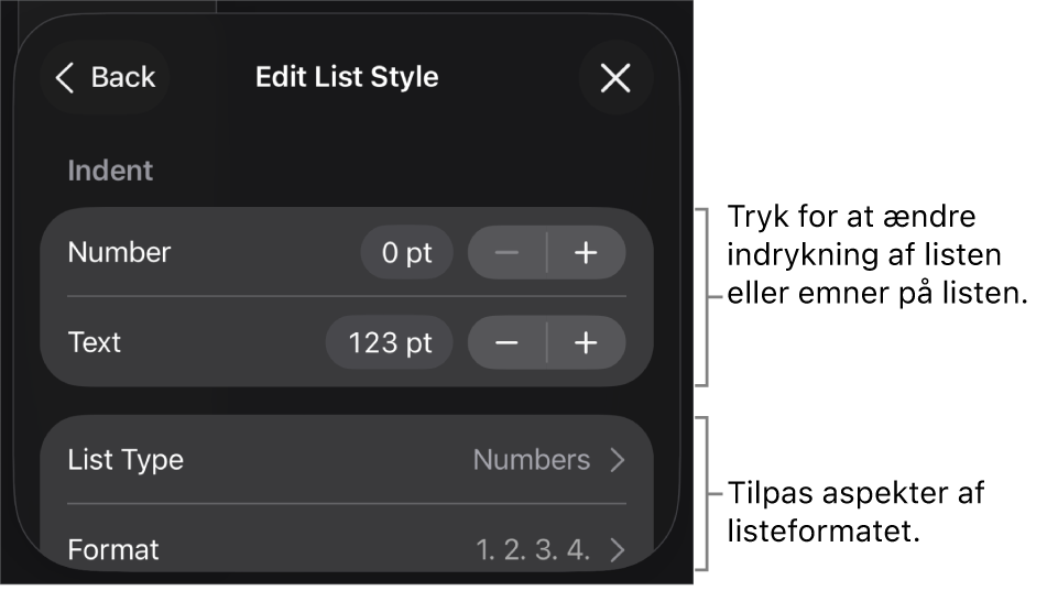 Menuen Rediger listeformat med betjeningsmuligheder til redigering af listens type og udseende.
