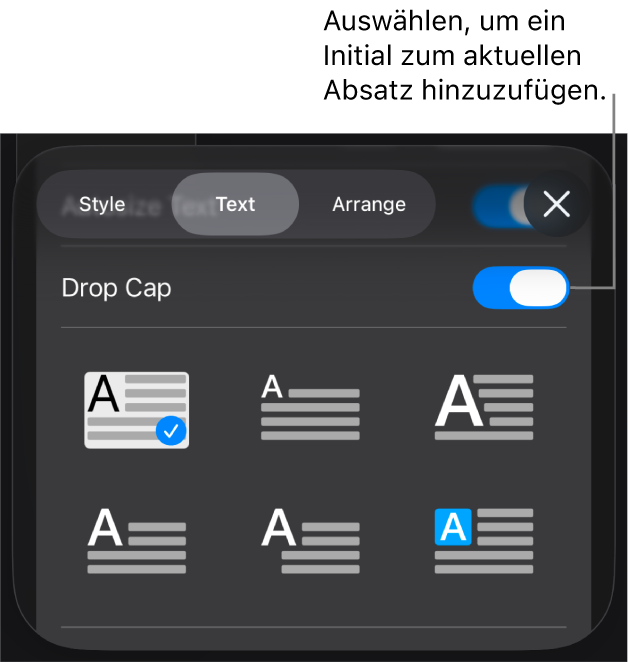 Die Steuerelemente „Initial“ im Menü „Text“