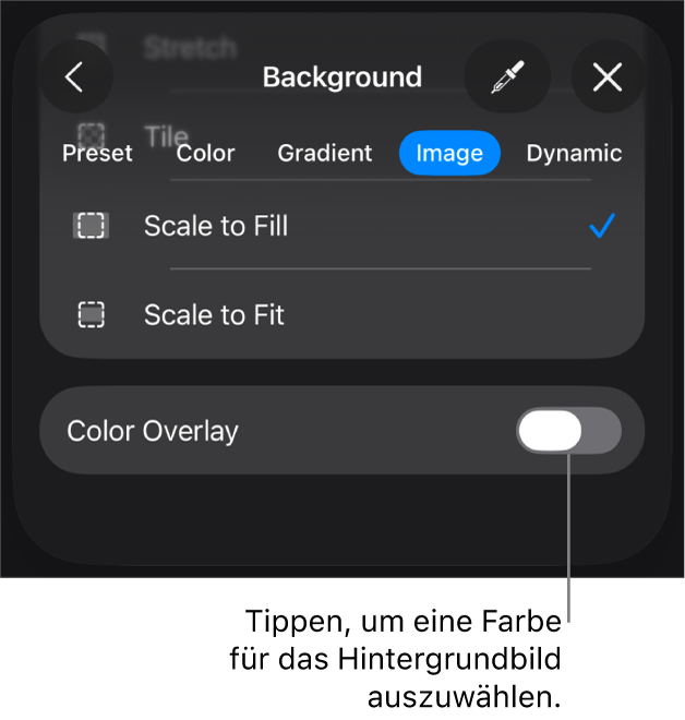 Die Steuerelemente „Hintergrund“ mit einem Bild, das als Folienhintergrund festgelegt ist, und dem Steuerelement „Farbüberlagerung“ unten.