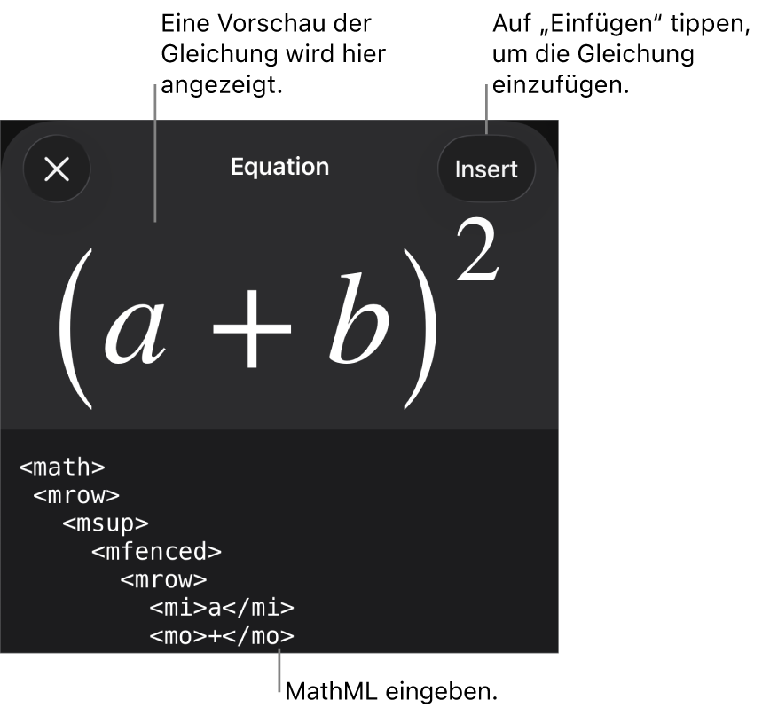 Im Dialogfenster „Gleichung“ wird eine Gleichung angezeigt, die mit MathML-Befehlen geschrieben wurde, darüber wird eine Vorschau der Formel angezeigt.