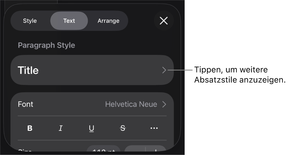 Das Menü „Format“ mit Textsteuerelementen zum Festlegen von Absatz- und Zeichenstilen, Schrift, Größe und Farbe