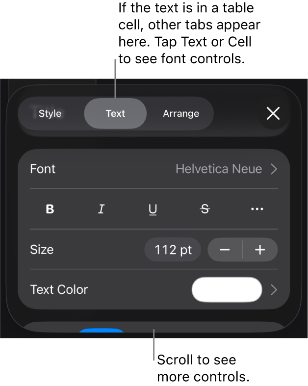 Text controls in the Format menu for setting paragraph and character styles, font, size and colour.