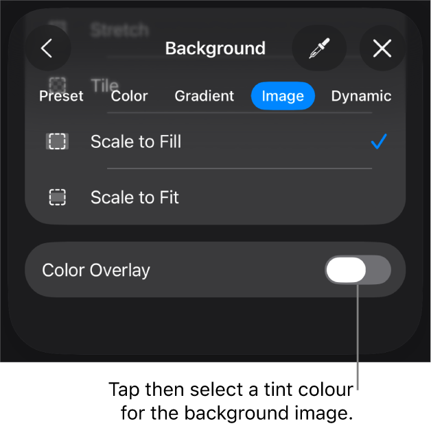 The Background controls with an image set as the slide background and the Colour Overlay control at the bottom.
