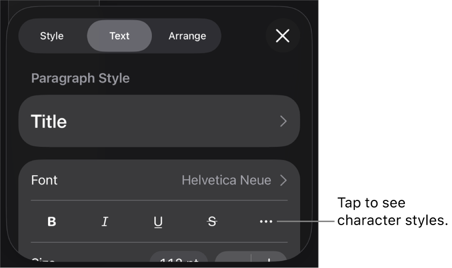 The Format controls with paragraph styles at the top, then Font controls. Below Font are the Bold, Italic, Underline, Strikethrough and More Text Options buttons.