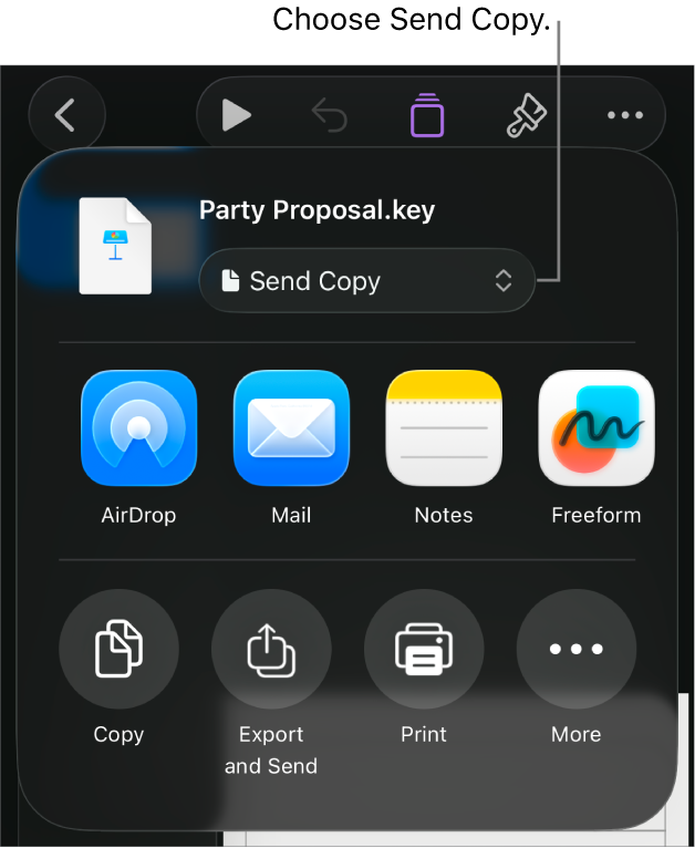 The Share menu with Send Copy selected at the top.