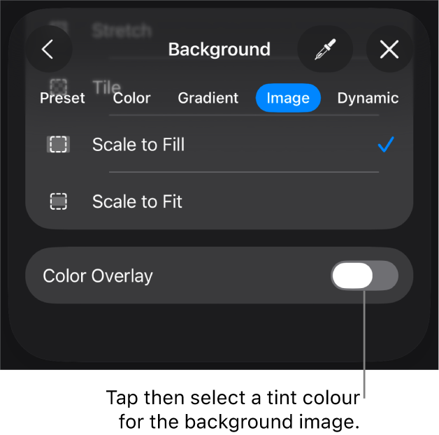 The Background controls with an image set as the slide background and the Colour Overlay control at the bottom.
