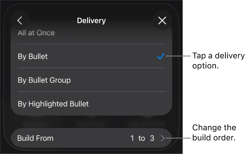 Delivery options in the Build In pane.