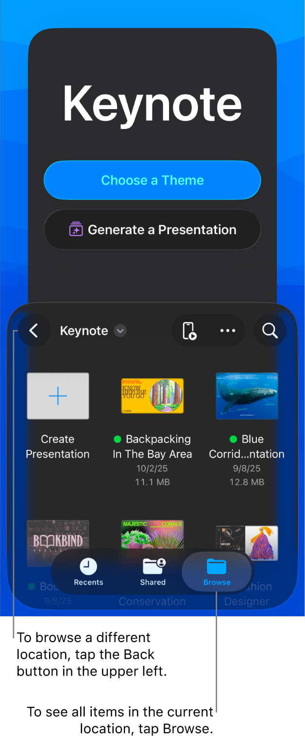 The document manager with buttons to choose a theme and start a presentation from an outline in the top half of the screen, and the document browser with shared presentation in the bottom.
