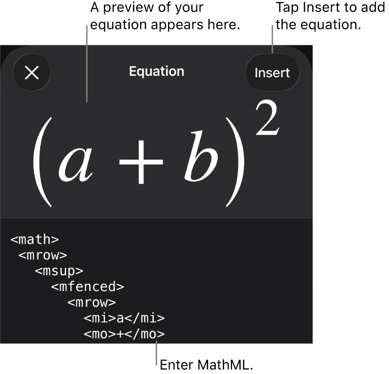 The Equation dialogue, showing an equation written using MathML commands, and a preview of the formula above.