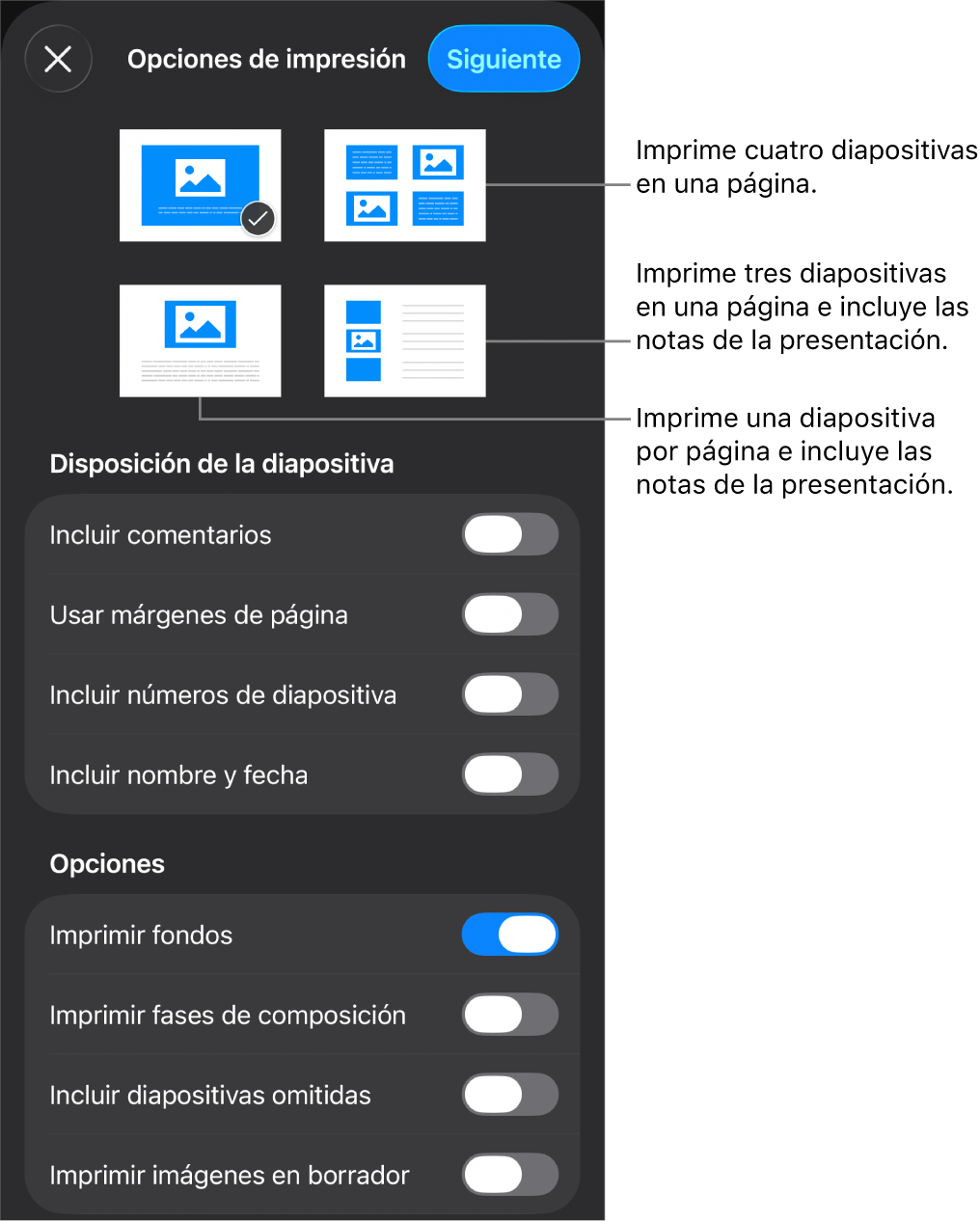 Opciones de disposición de impresión.