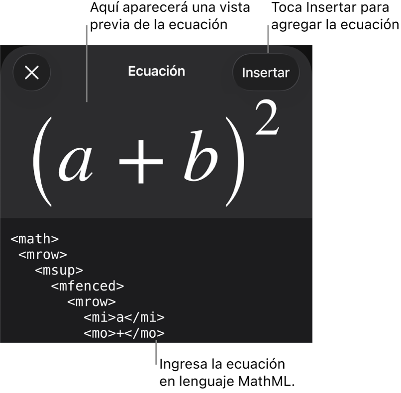 El cuadro de diálogo Ecuación con una ecuación escrita con comandos de MathML y una vista previa de la fórmula encima.