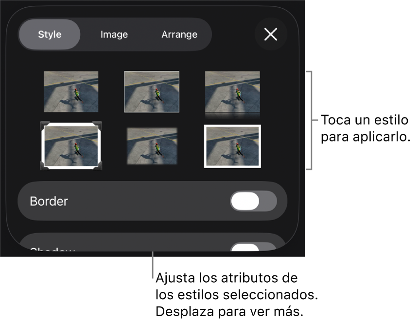 La pestaña Estilo del menú Formato con estilos de objetos en la parte superior y un control debajo para cambiar el borde.